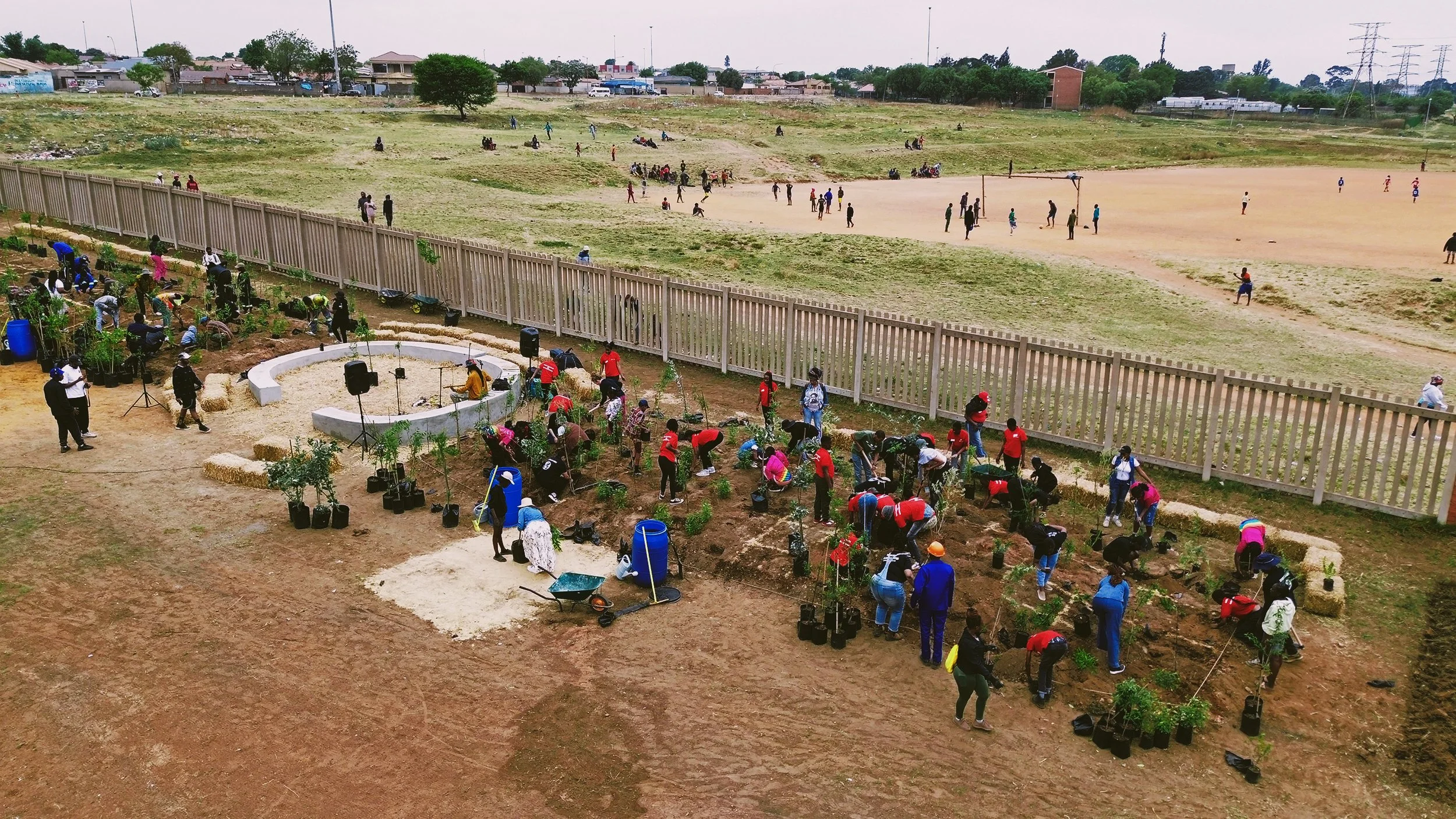 SUGi_ITHUBA UNITY FOREST_PLANTING_2025_LOW-RES_5.jpg