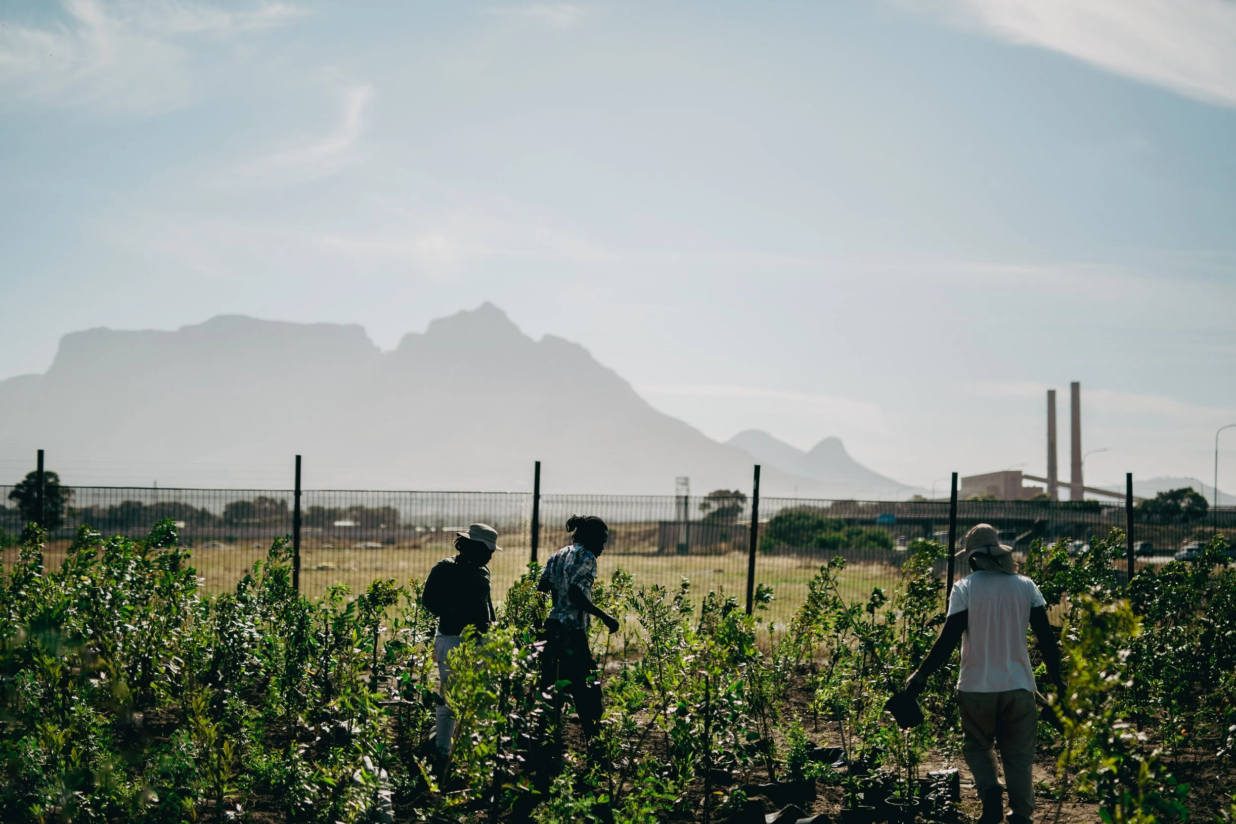 1 - 20251117 - MZANZI - HELG0568-2_.jpg