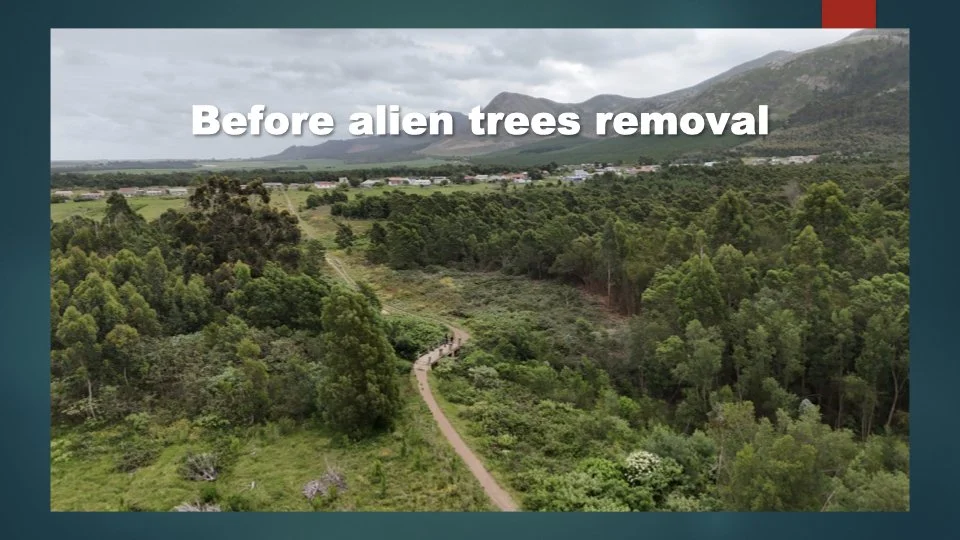 Reforesting & Agriculture Project2.021.jpeg