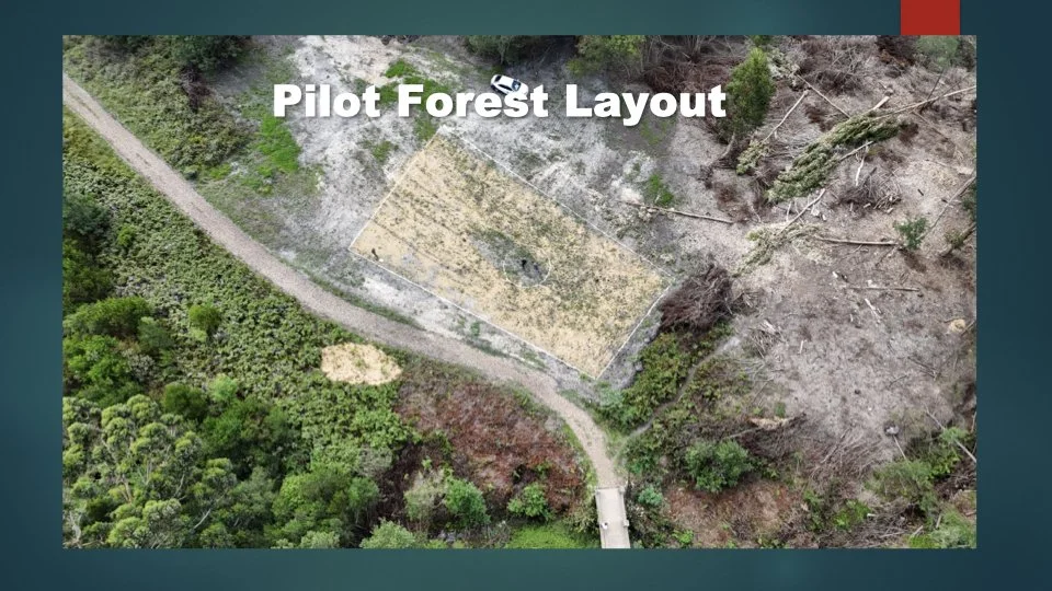 Reforesting & Agriculture Project2.023.jpeg