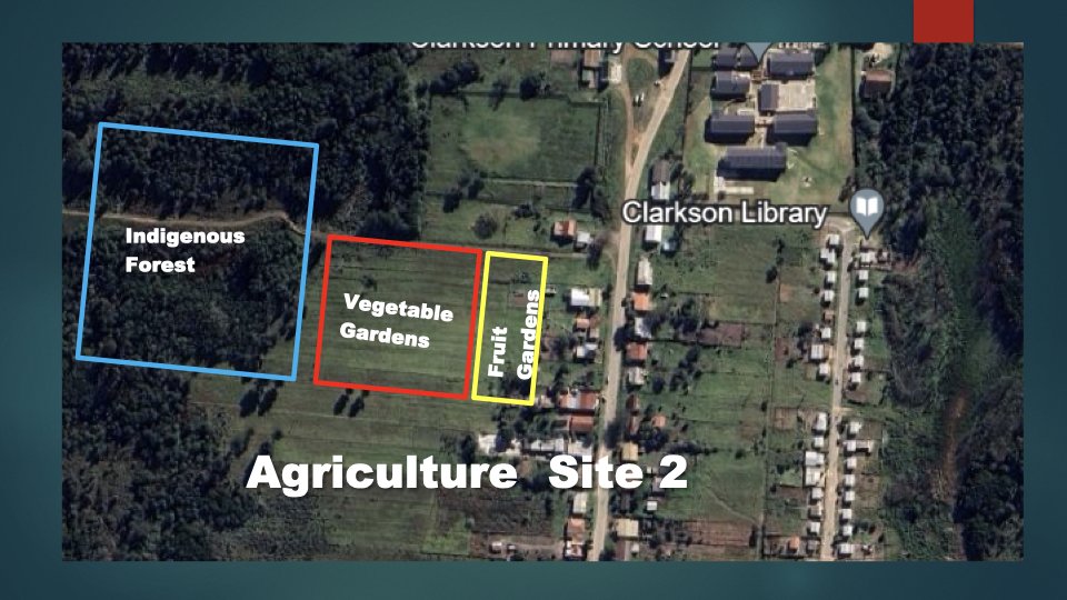 Reforesting & Agriculture Project2.015.jpeg