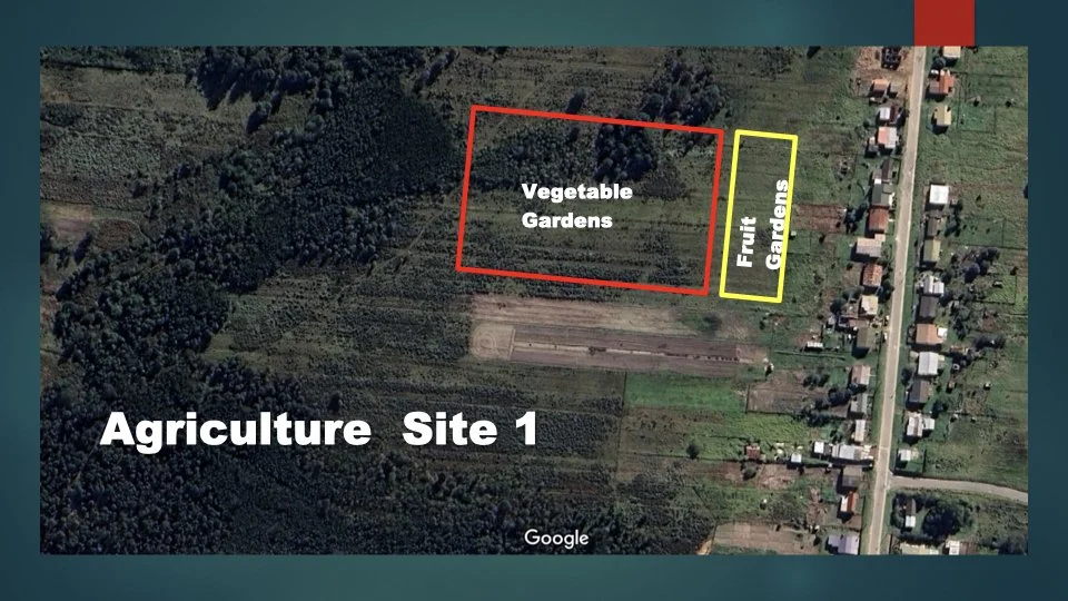 Reforesting & Agriculture Project2.014.jpeg