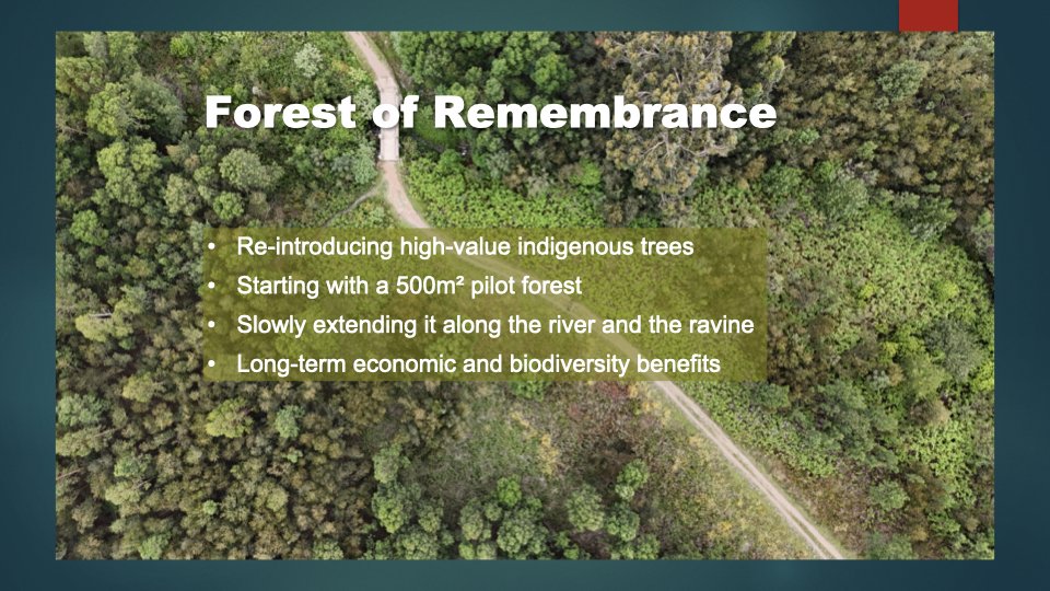 Reforesting & Agriculture Project2.020.jpeg