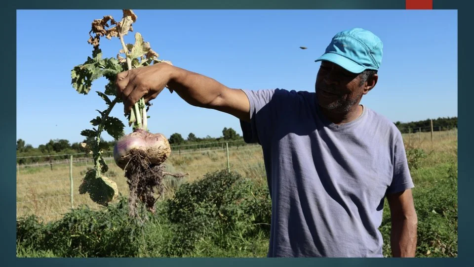 Reforesting & Agriculture Project2.030.jpeg