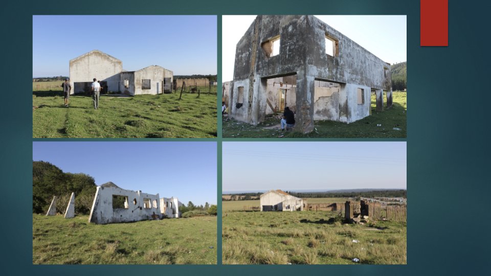 Reforesting & Agriculture Project2.034.jpeg