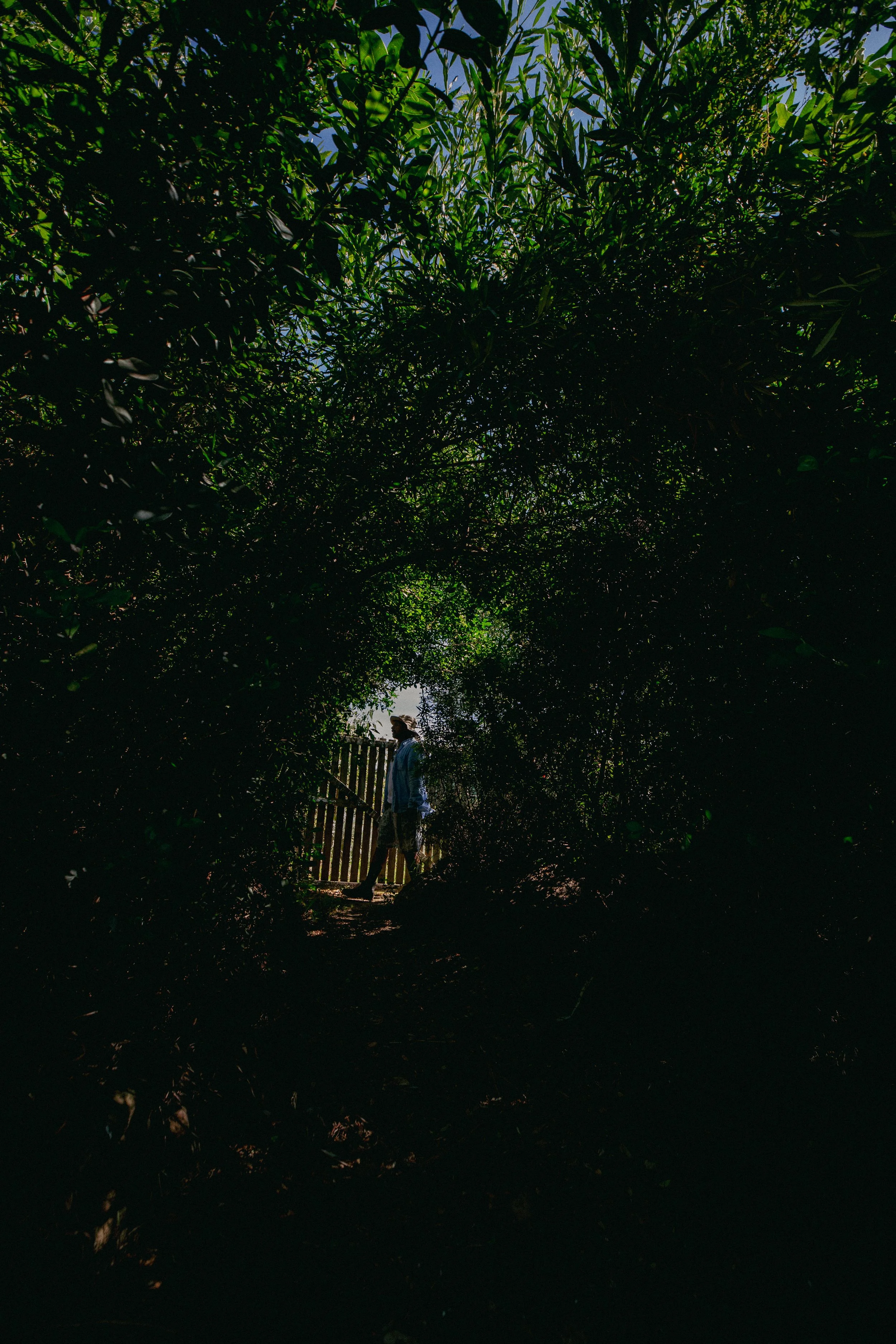 1 - 20251205 - bertha - HELG9329_.jpg