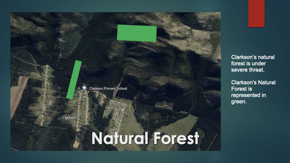 Reforesting & Agriculture Project2.006.jpeg