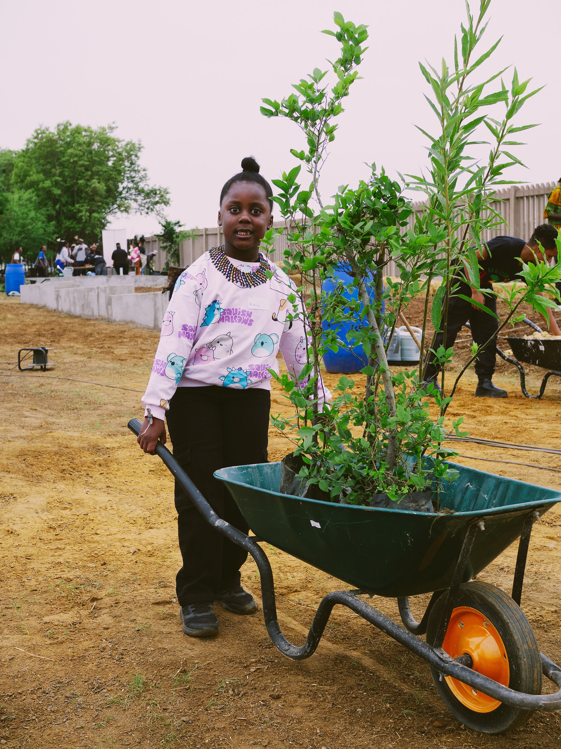 SUGi_ITHUBA UNITY FOREST_PLANTING_2025_LOW-RES_21.jpg