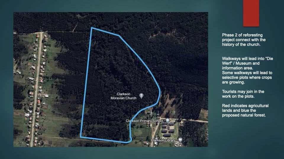 Reforesting & Agriculture Project2.035.jpeg