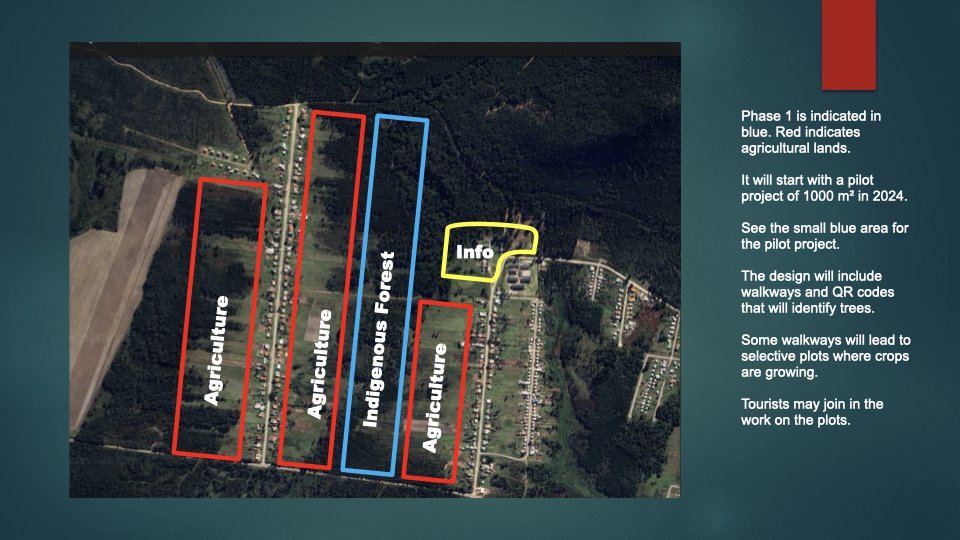Reforesting & Agriculture Project2.012.jpeg