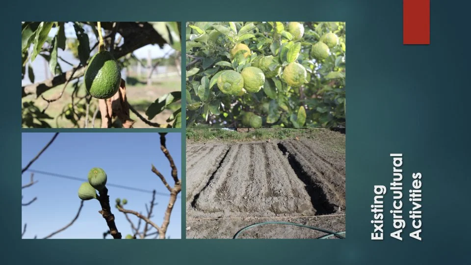 Reforesting & Agriculture Project2.004.jpeg