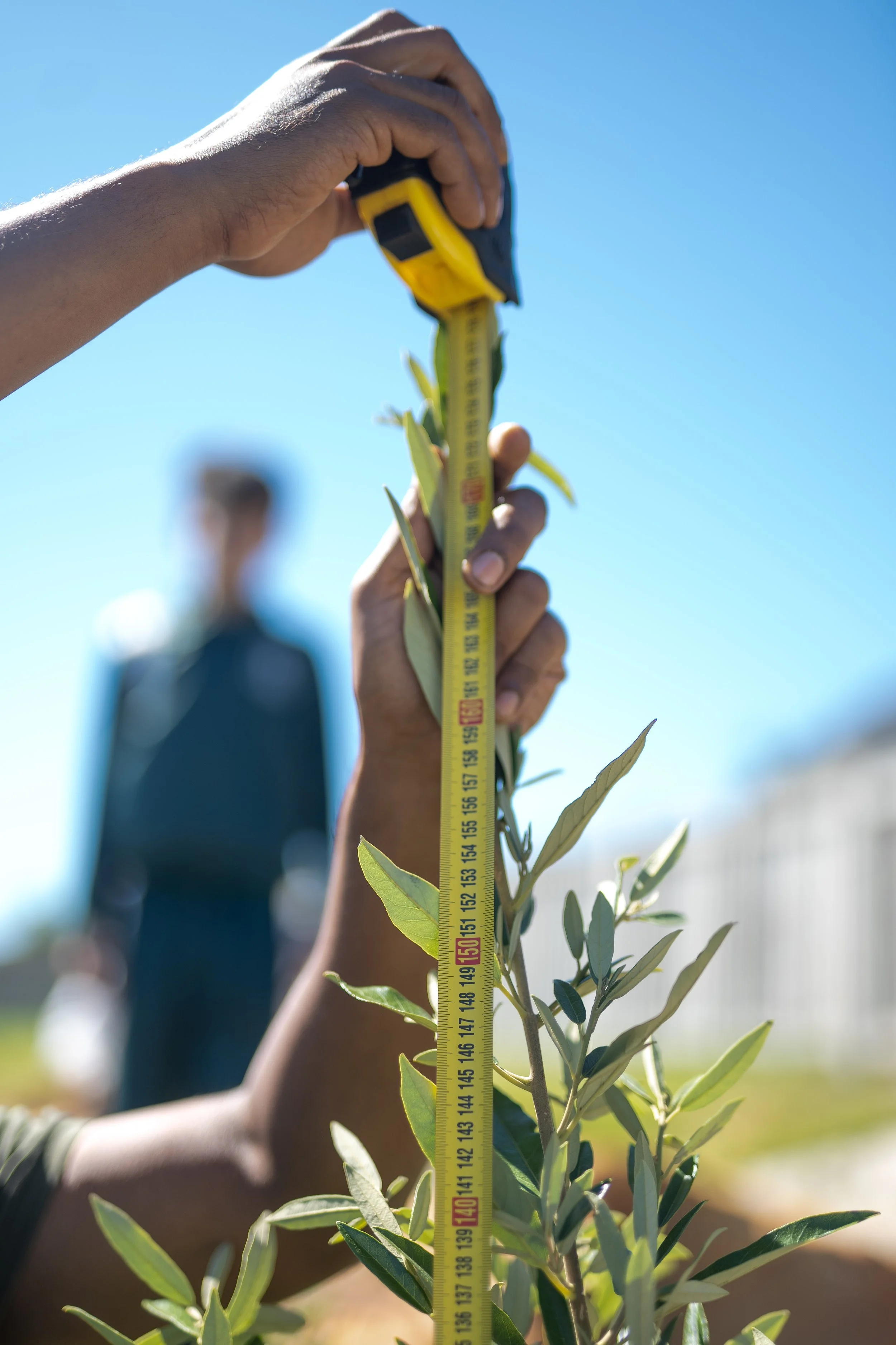 1 - 20251121 - distric 6  - DSC02555_.jpg