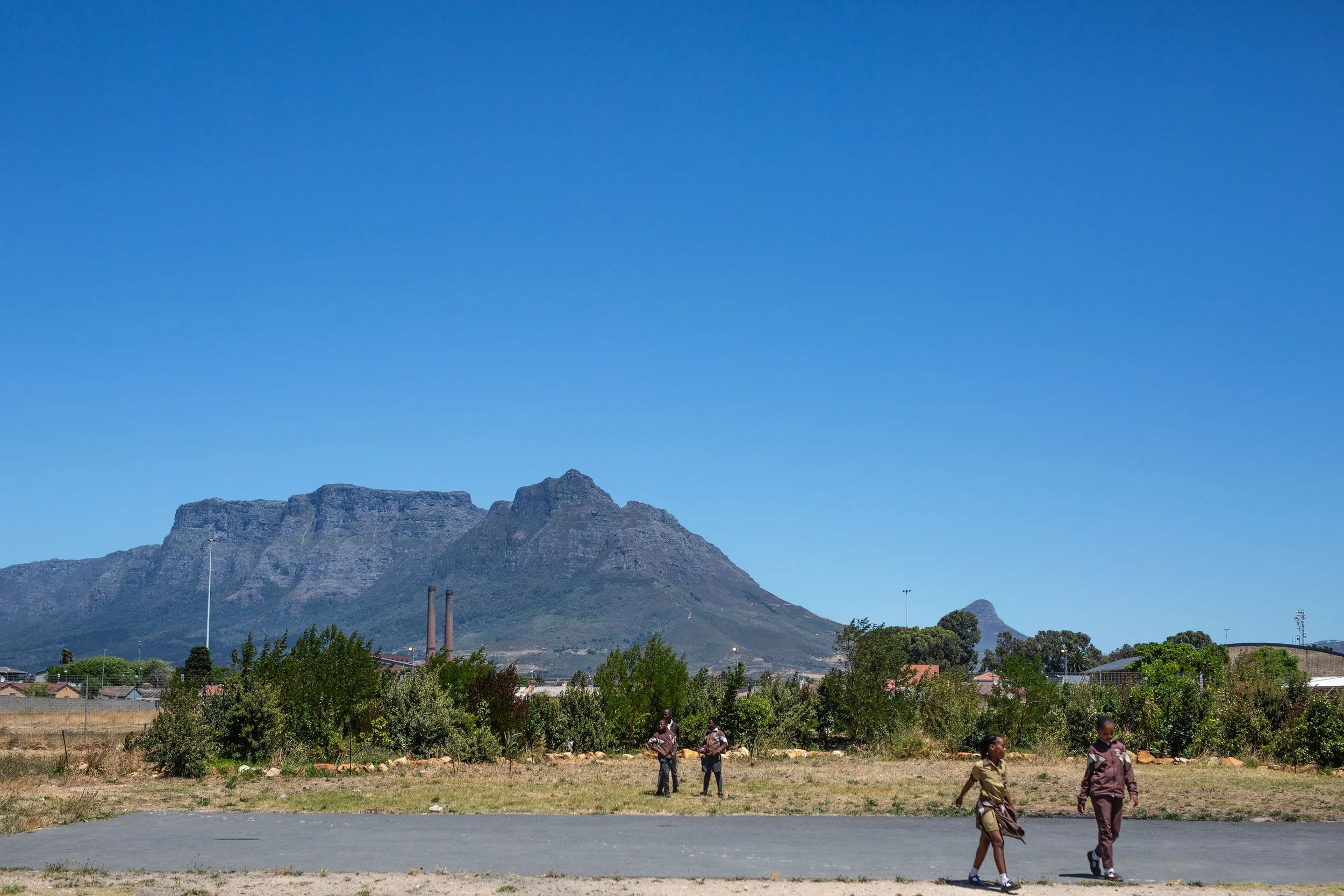 1 - 20251124 - LANGA forest - HELG8764_.jpg