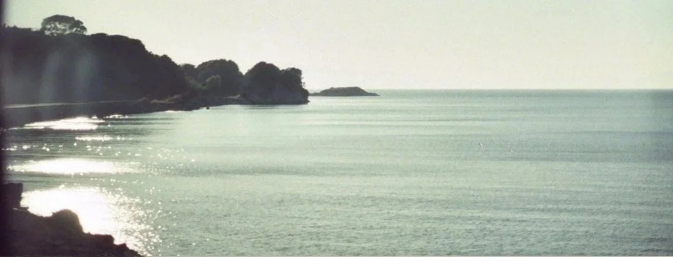 California Coast, 2009