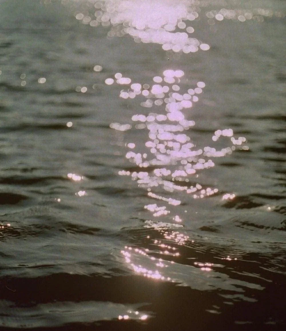 Sacramento River, 2009