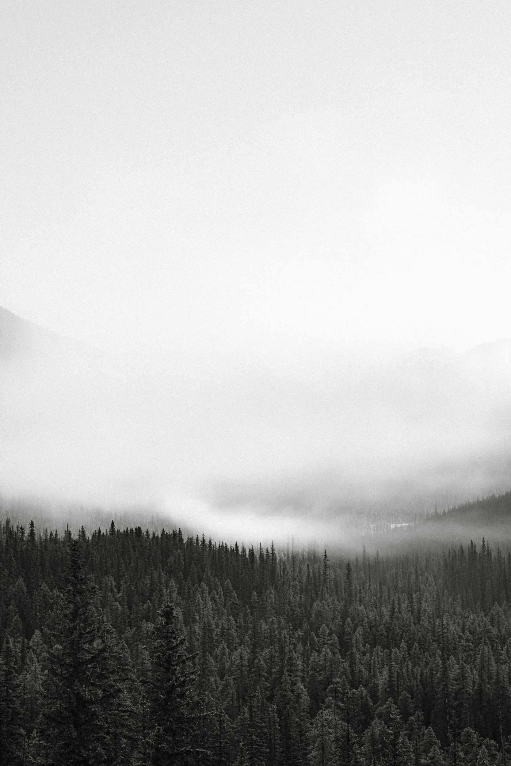 unsplash-image-LSvnvfHPtzQ.jpg