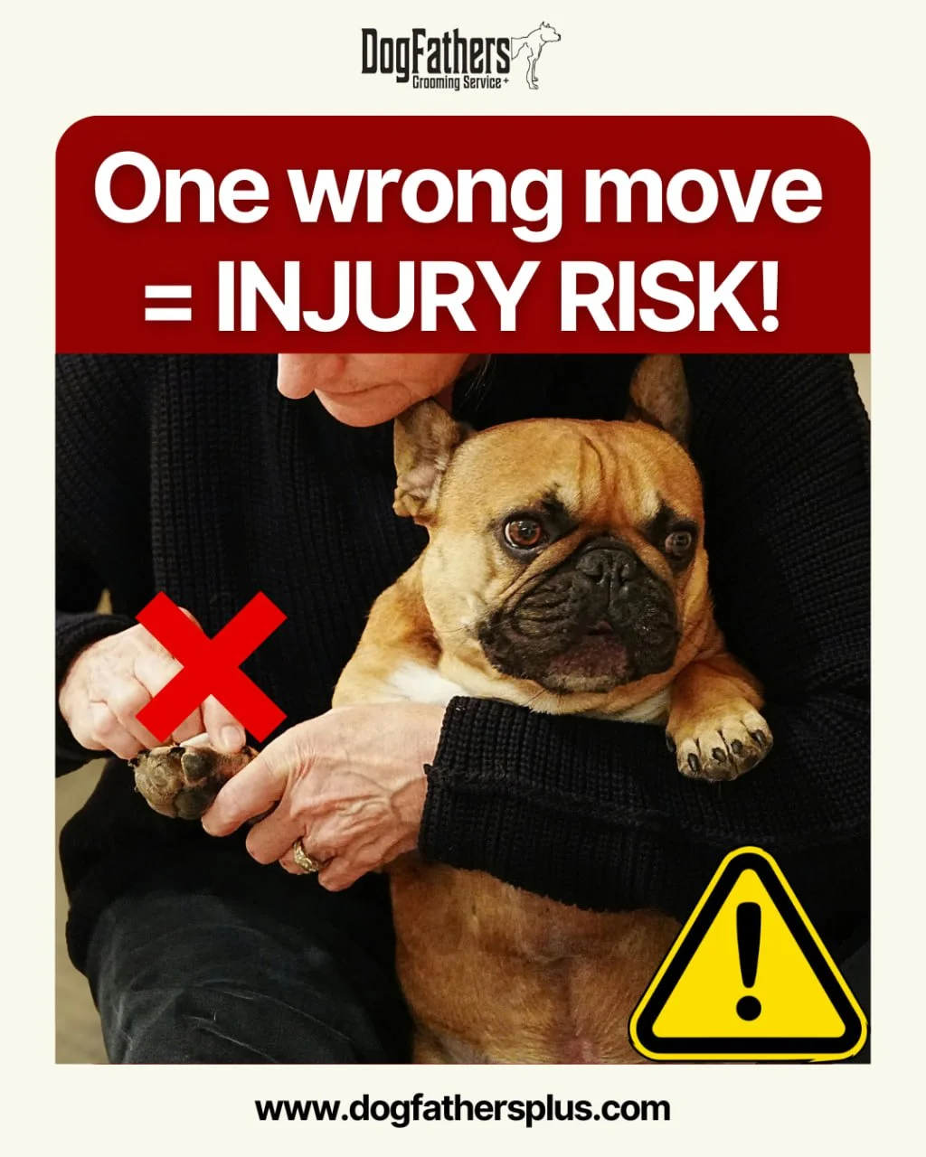 Grooming isn&rsquo;t just about looks&mdash;it&rsquo;s safety first. Using clippers, scissors, and dryers the right way protects your pup from cuts, burns, and unnecessary stress.
At Dogfathersplus, we always secure the tools, check temperatures, and