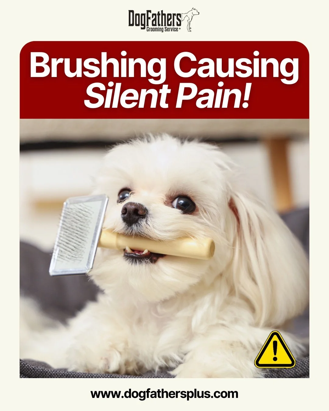Brushing should feel relaxing for your dog &mdash; but when matts start forming, that simple brushing session can quickly turn into something uncomfortable or even painful.

Here&rsquo;s why.

When a dog&rsquo;s coat isn&rsquo;t brushed regularly, lo