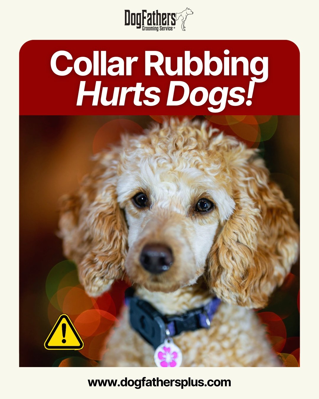 🐾 &ldquo;Hair Pulling Around Collar Line&rdquo;

That tiny rubbing around your dog&rsquo;s collar might not look serious at first&hellip; but constant friction can slowly damage the skin and pull fur out over time. 😟

When collars are too tight, di
