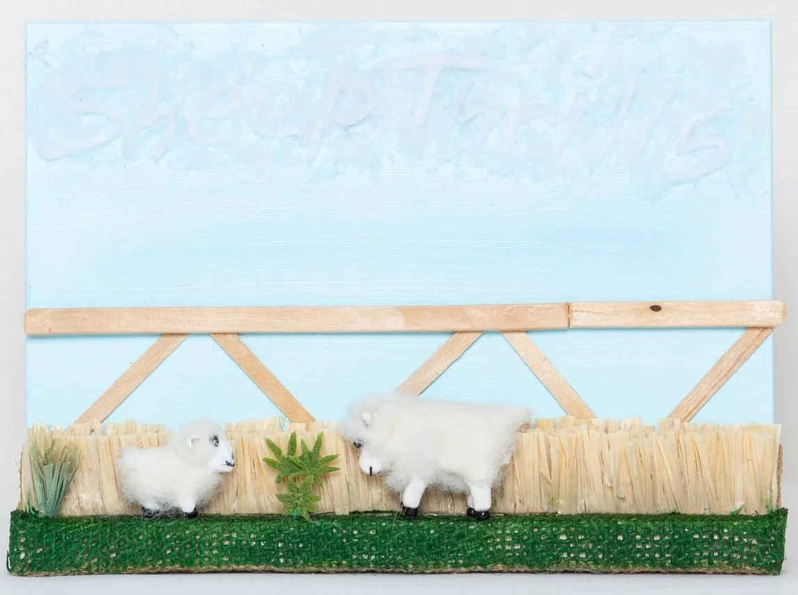 Sheep Thrills 
