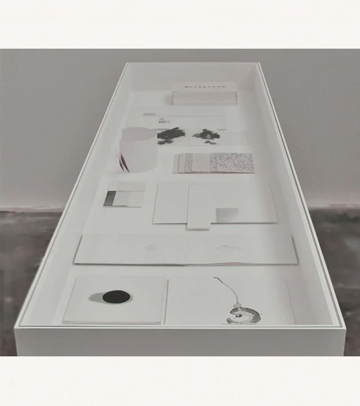Untitled (drawn archive), 2011, Vitrine; ink, soot, watercolour, graphite on paper.