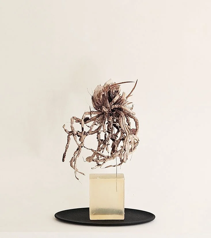 untitled (studio assemblage) 2024, FR Drew orchid, cast iron dish, glycerine, wire