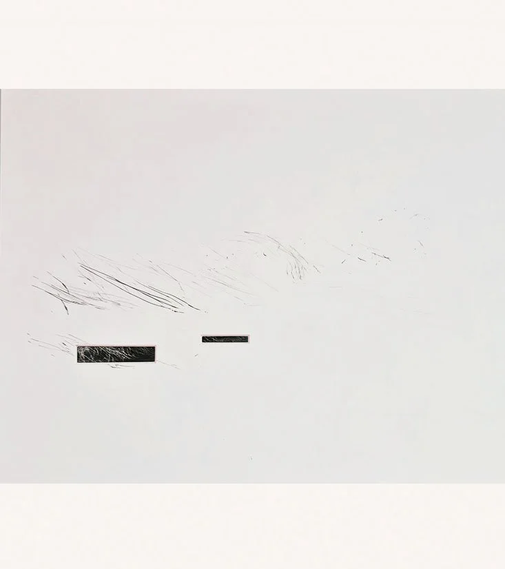 Untitled (Grasses), 2025, Edited Lithographic prints, mount board, ink