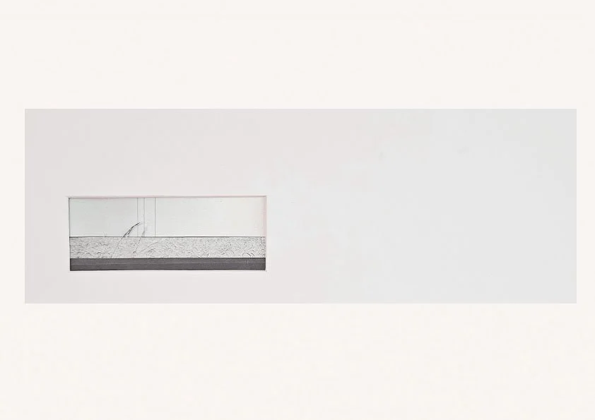 Untitled (Grasses), 2025, Edited Lithographic prints, collaged.