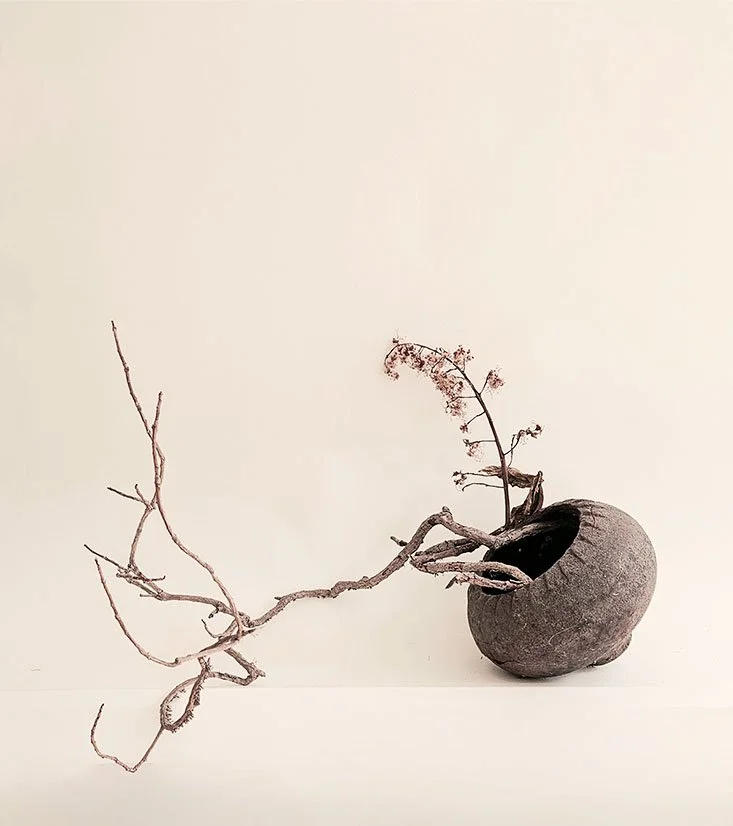 untitled (studio assemblage) 2024, Vine, Sweet horse chestnut, Cast iron vessel 