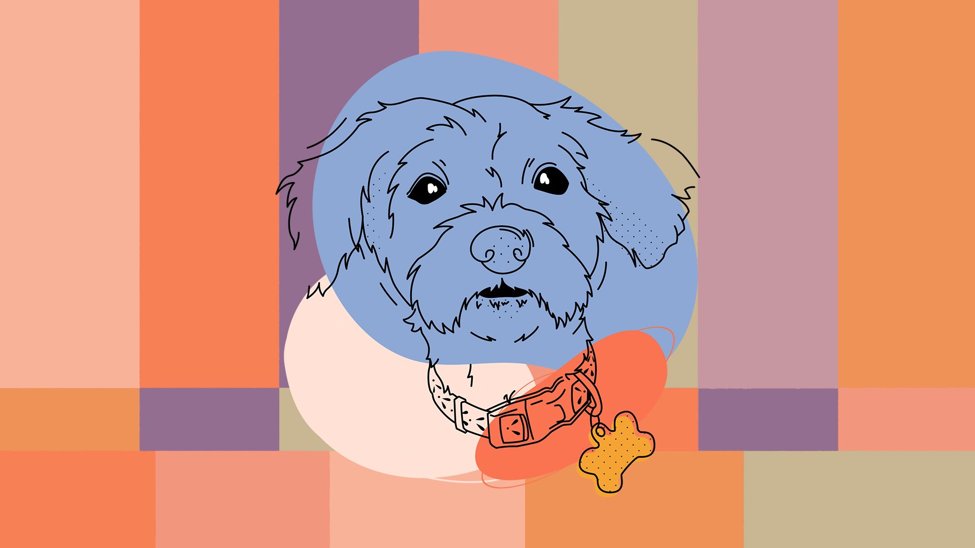 Illustration of a dog's face with a colorful geometric background. The dog has doodle-style features and a collar with a bone-shaped tag.