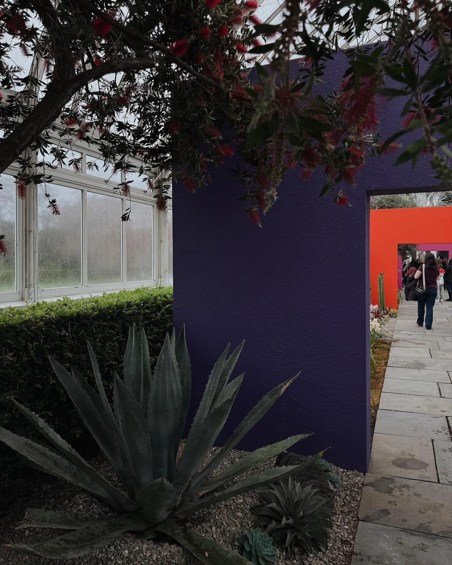 springinggg con muchas flores y museos y chocolate y todo el resto in between