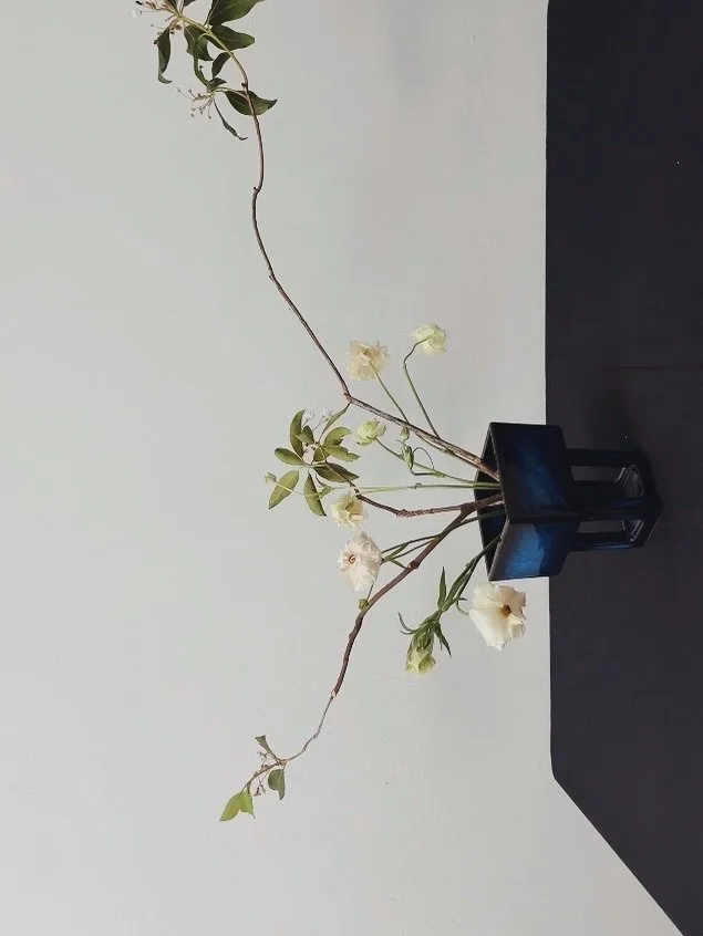 ikebana y visita del sants y maripositas y planetas y happy bellies