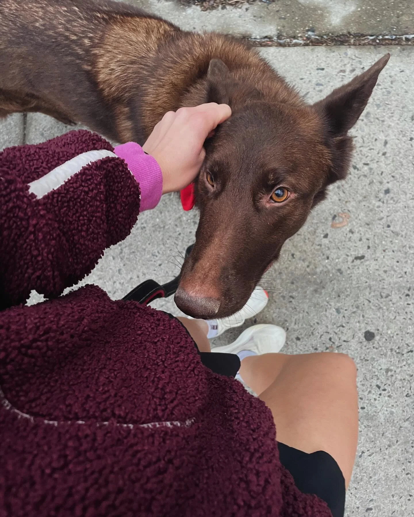 isss my favorite color