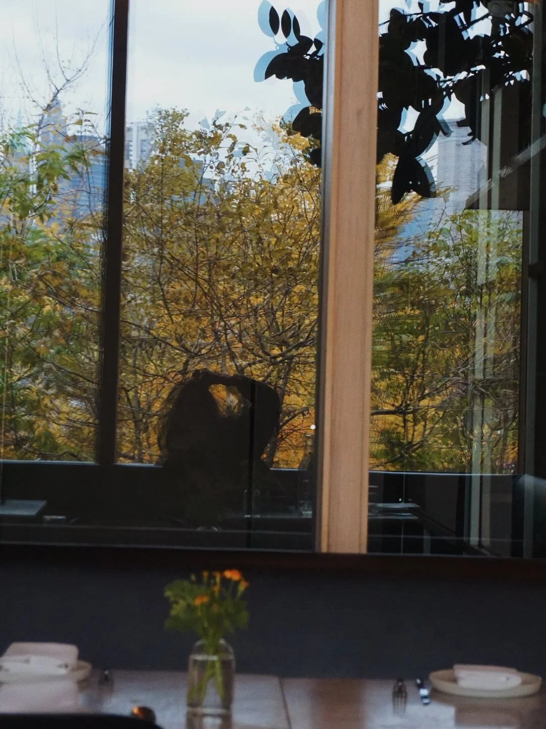 🐻