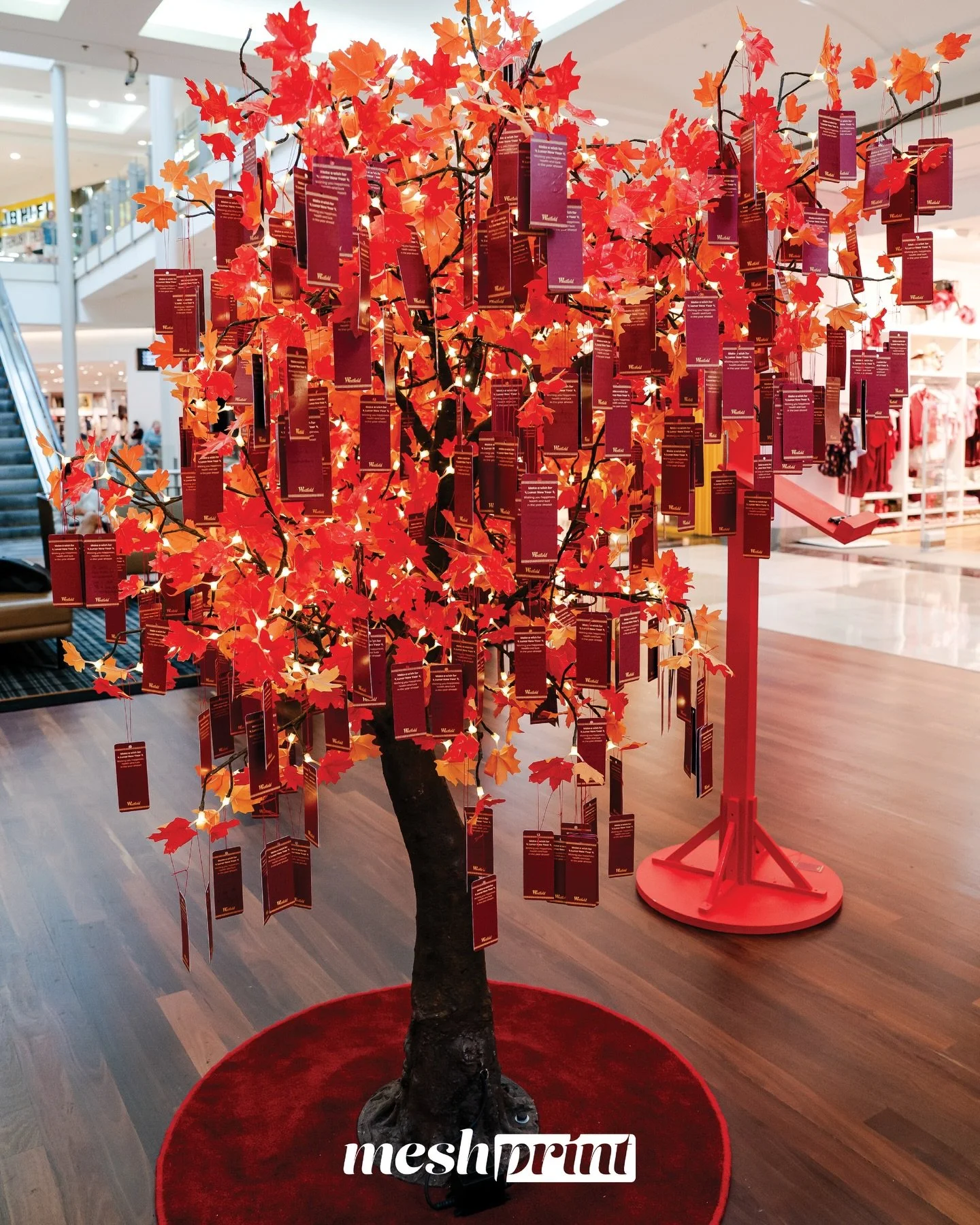 LUNAR NEW YEAR DISPLAY BY MESH PRINT ❤️

Let&rsquo;s create something amazing together ◡̈

Contact us today on info@meshprint.com.au

@meshprint_ 
@meshprint_ 
@meshprint_ 

#MeshPrintau