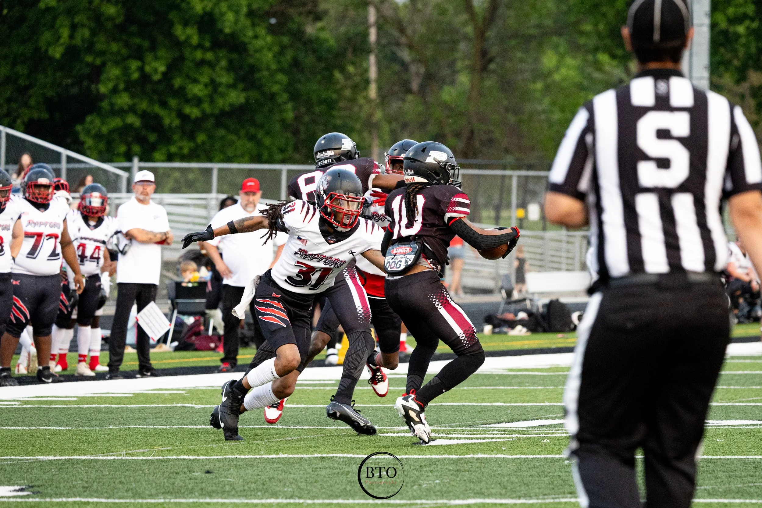 IMG_5385.jpg