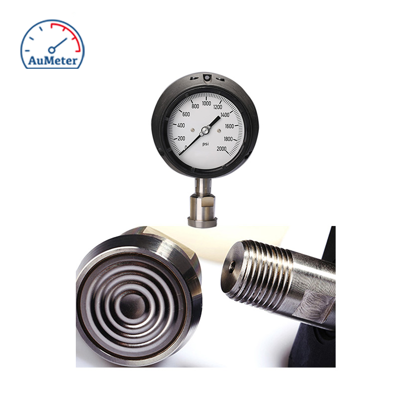 4_PROCESS PRESSURE GAUGE PG421OV_2.png