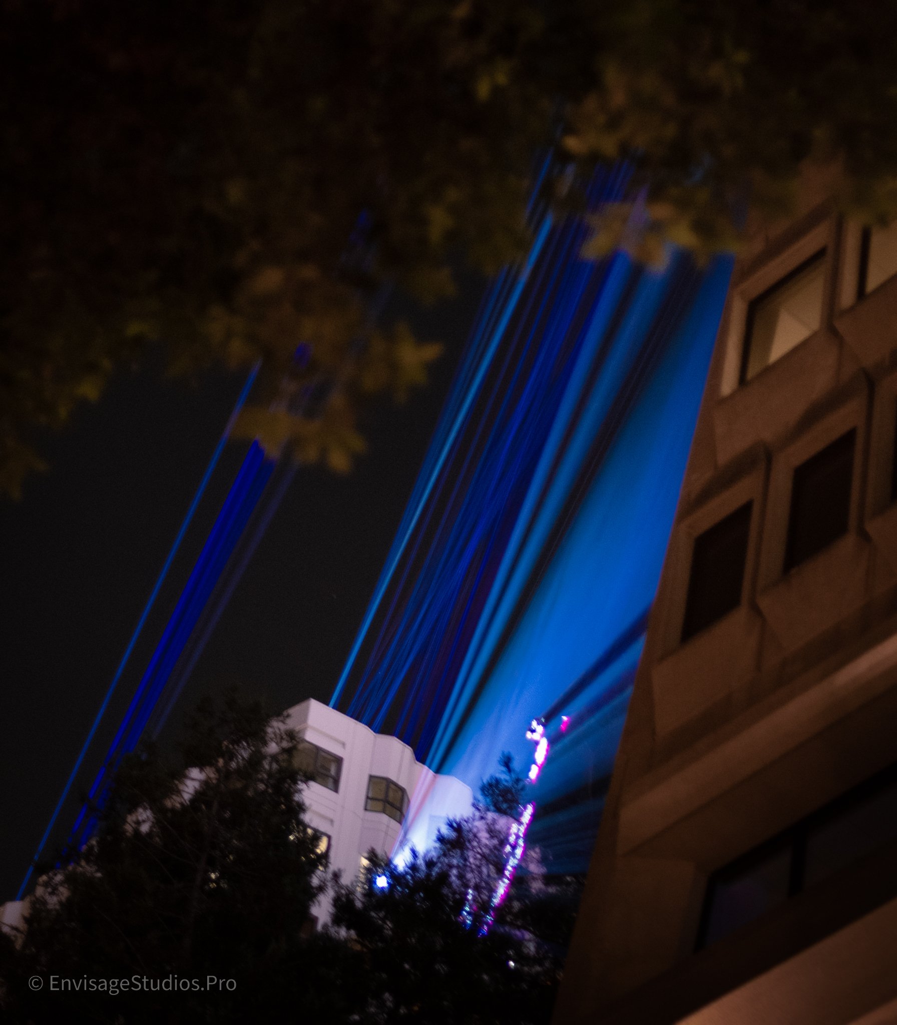 Chinese New Yeare SF_2025-19.jpg