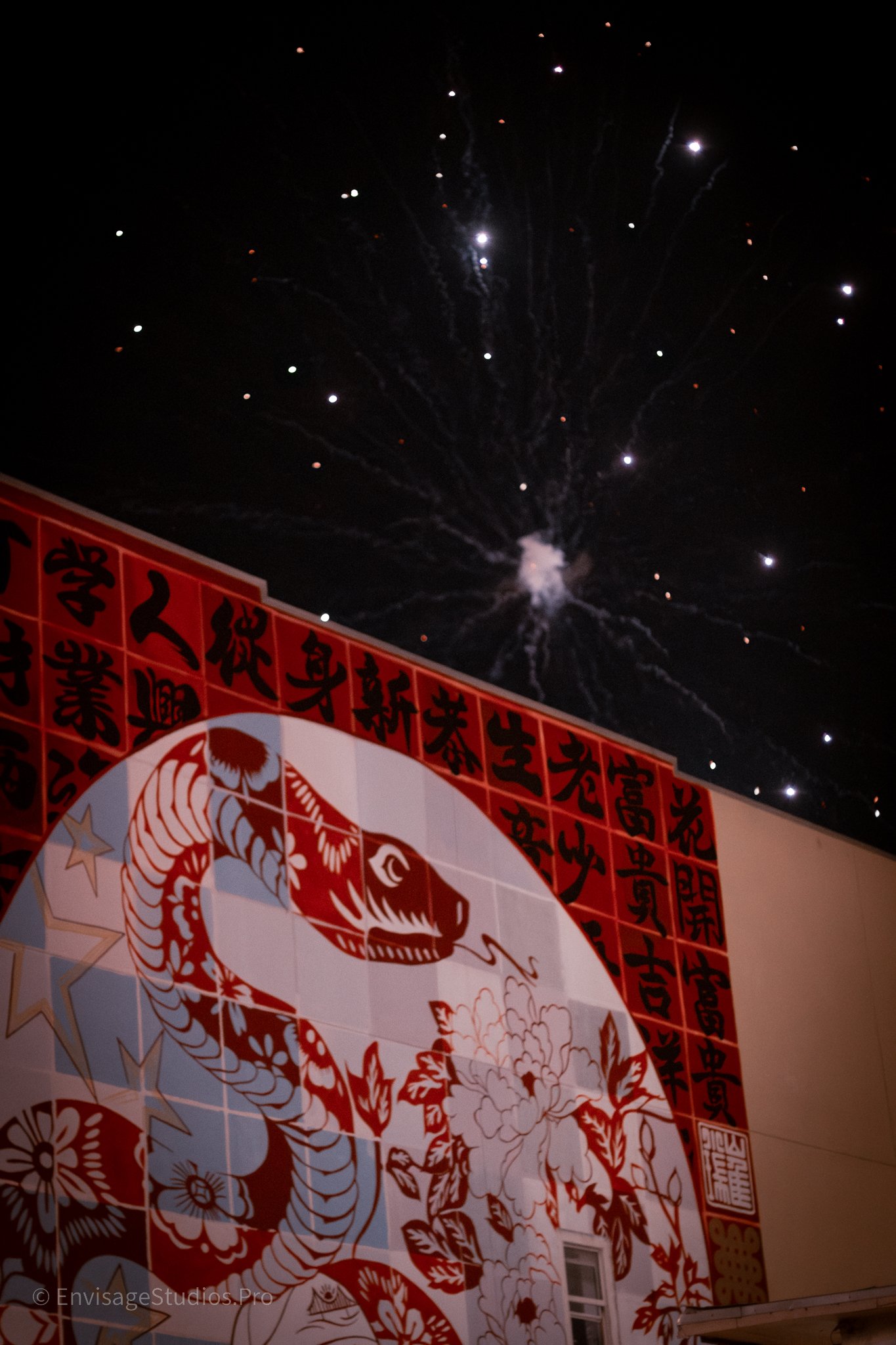 Chinese New Yeare SF_2025-11.jpg