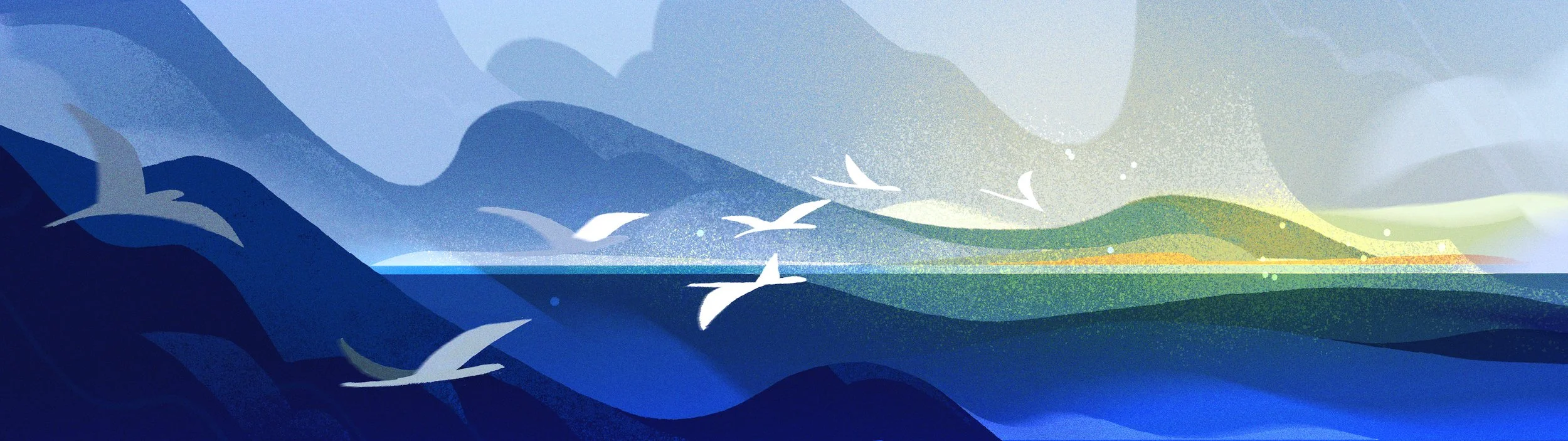 panorama_birds.jpg