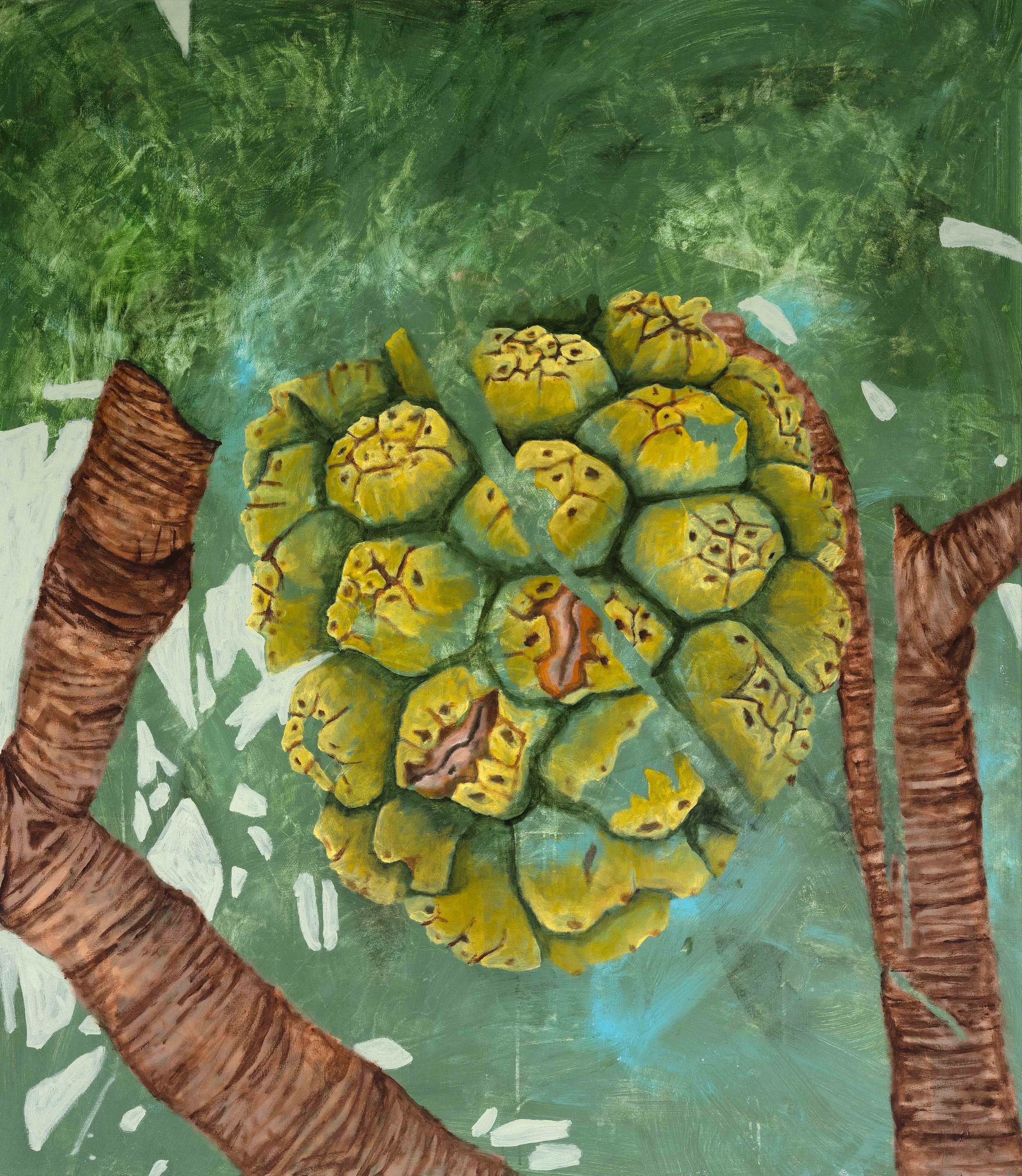 Pandanus