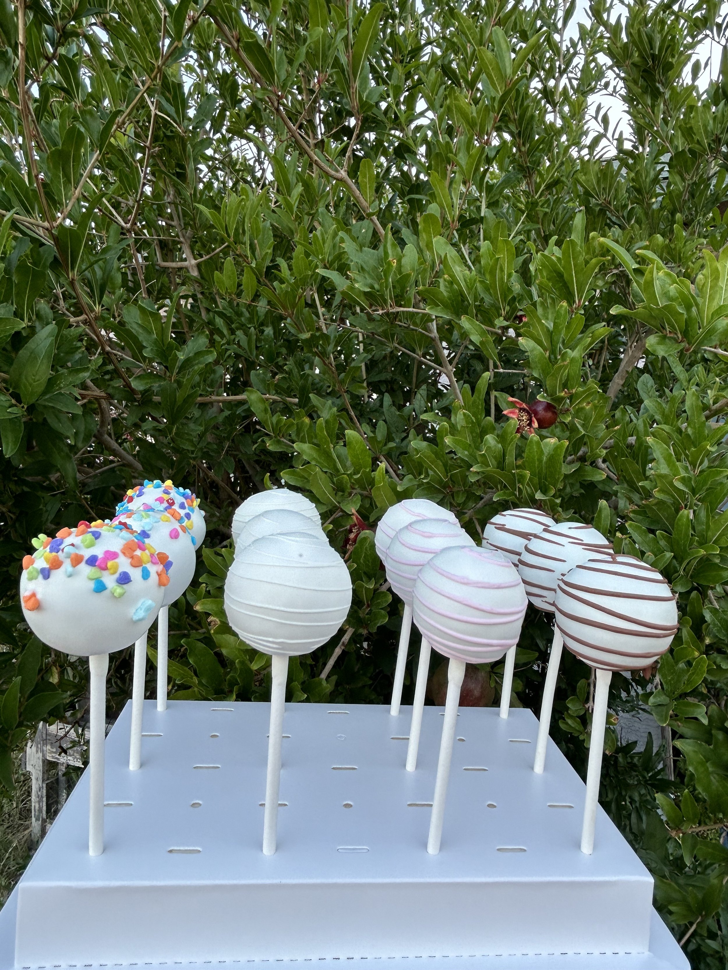 Assorted Cake Pops Set