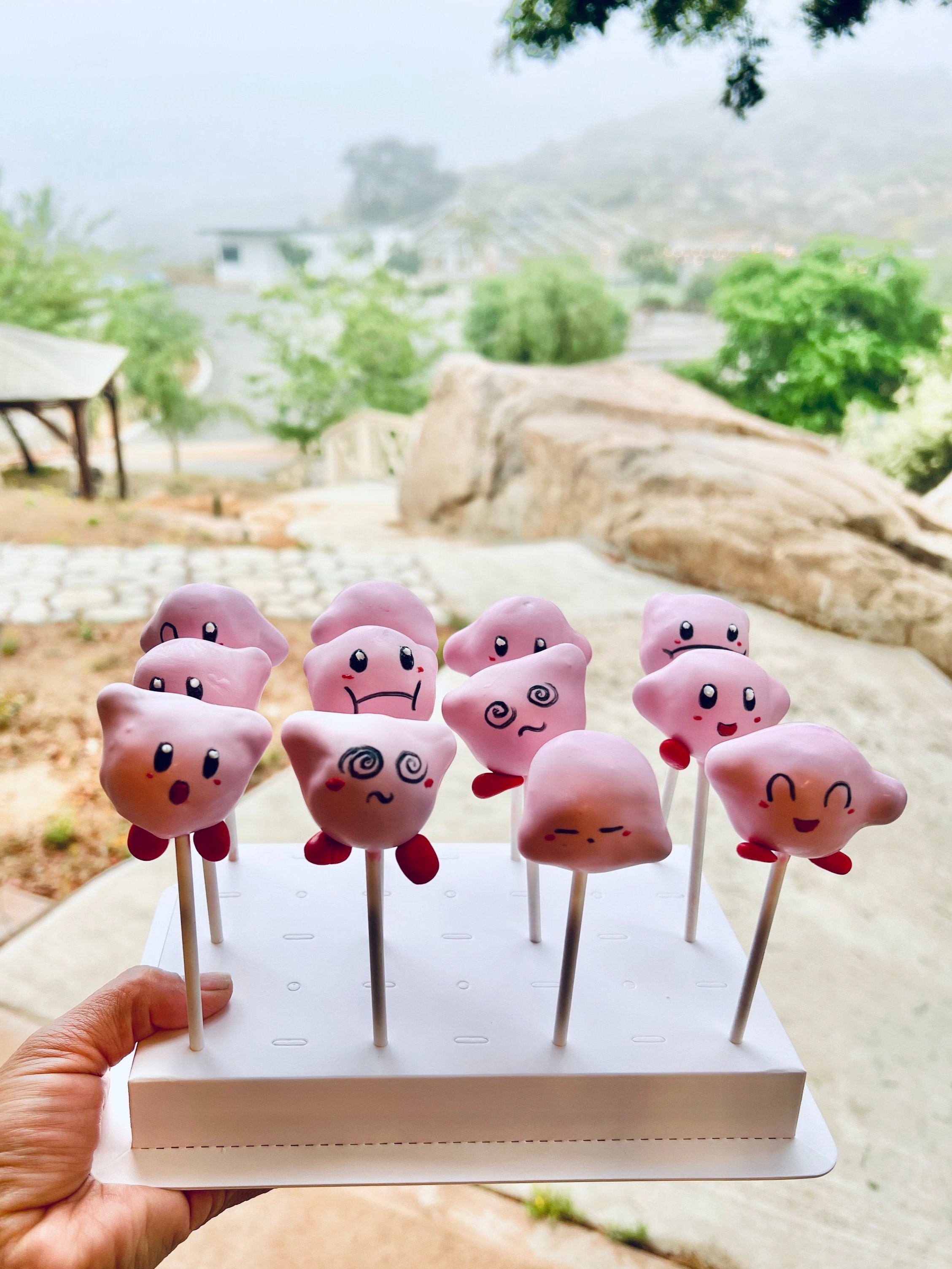 Assorted Kirby Set