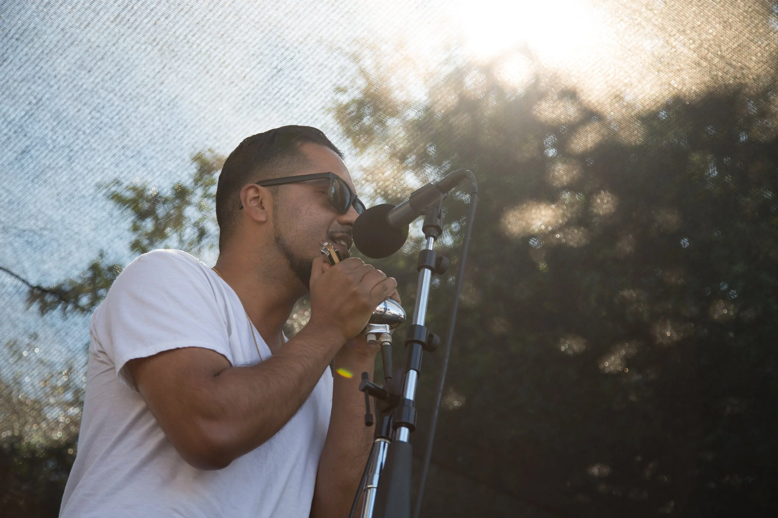 Man wearing sunglasses playing a harmonica at an outdoor event, standing in front of a microphone with trees and bright sunlight behind him.