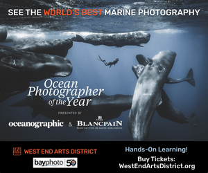 Ocean Photographer of the Year