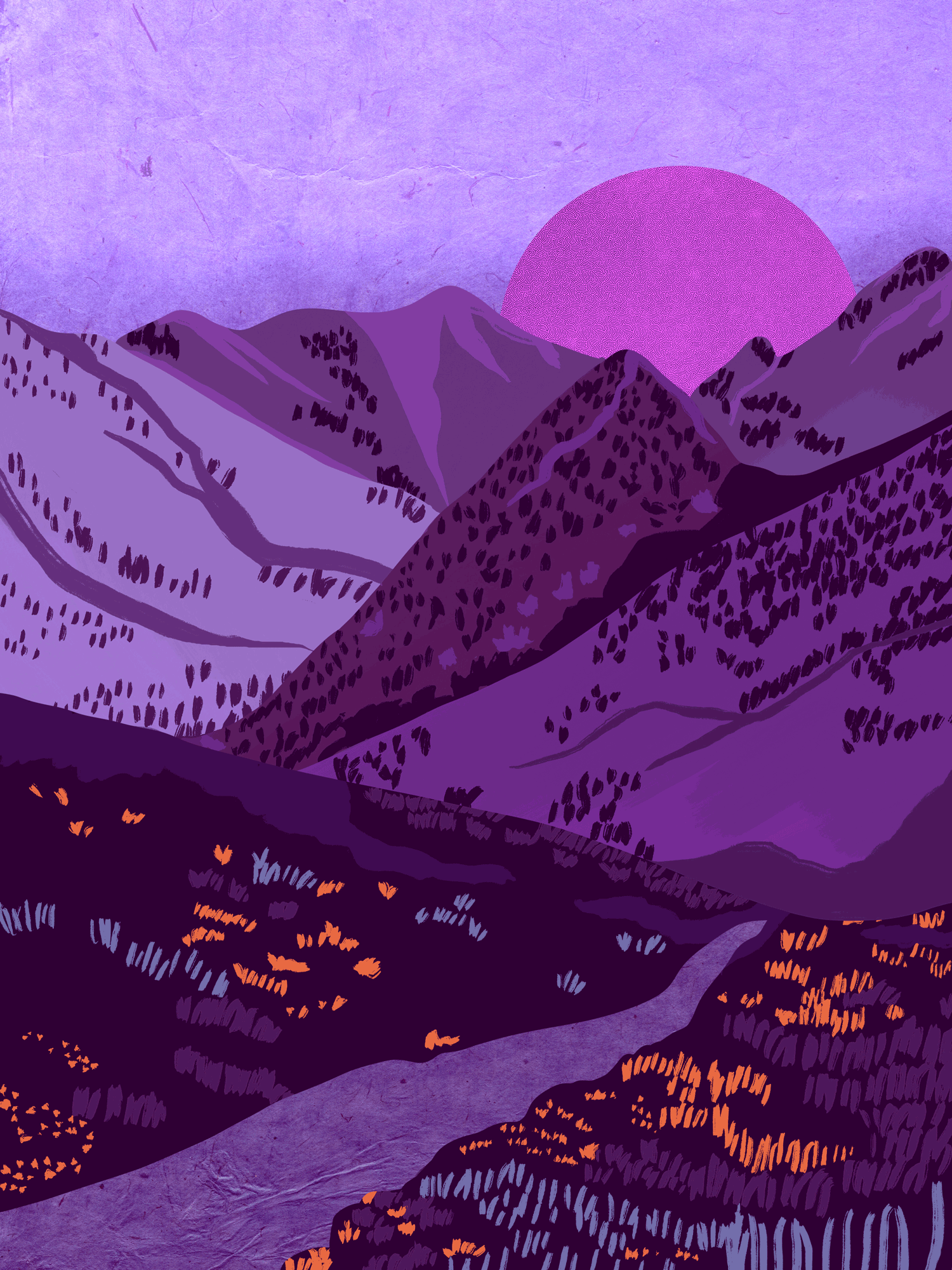 Pitta Illustration