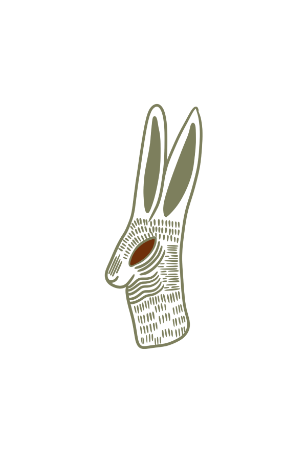 Bunny_Illustra_only.png