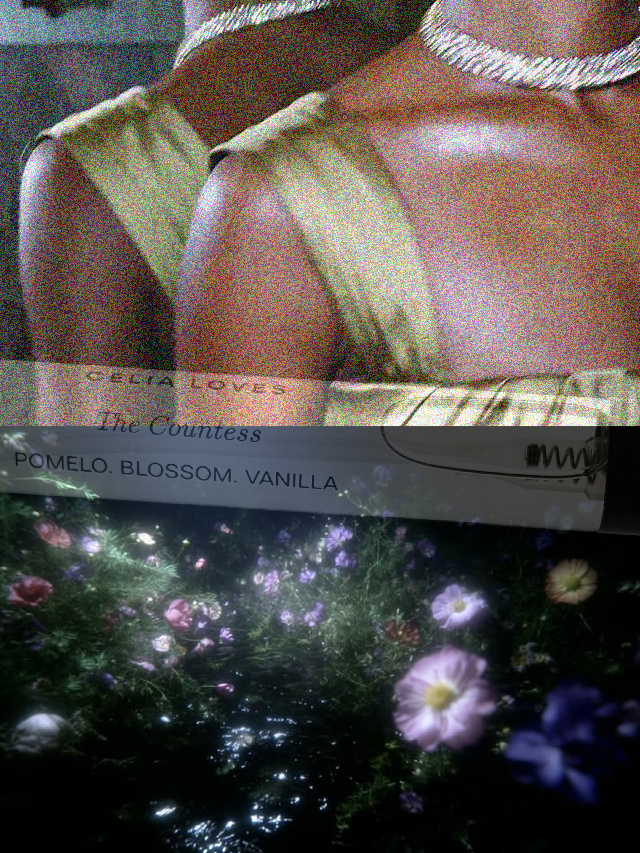 The Countess_6.png