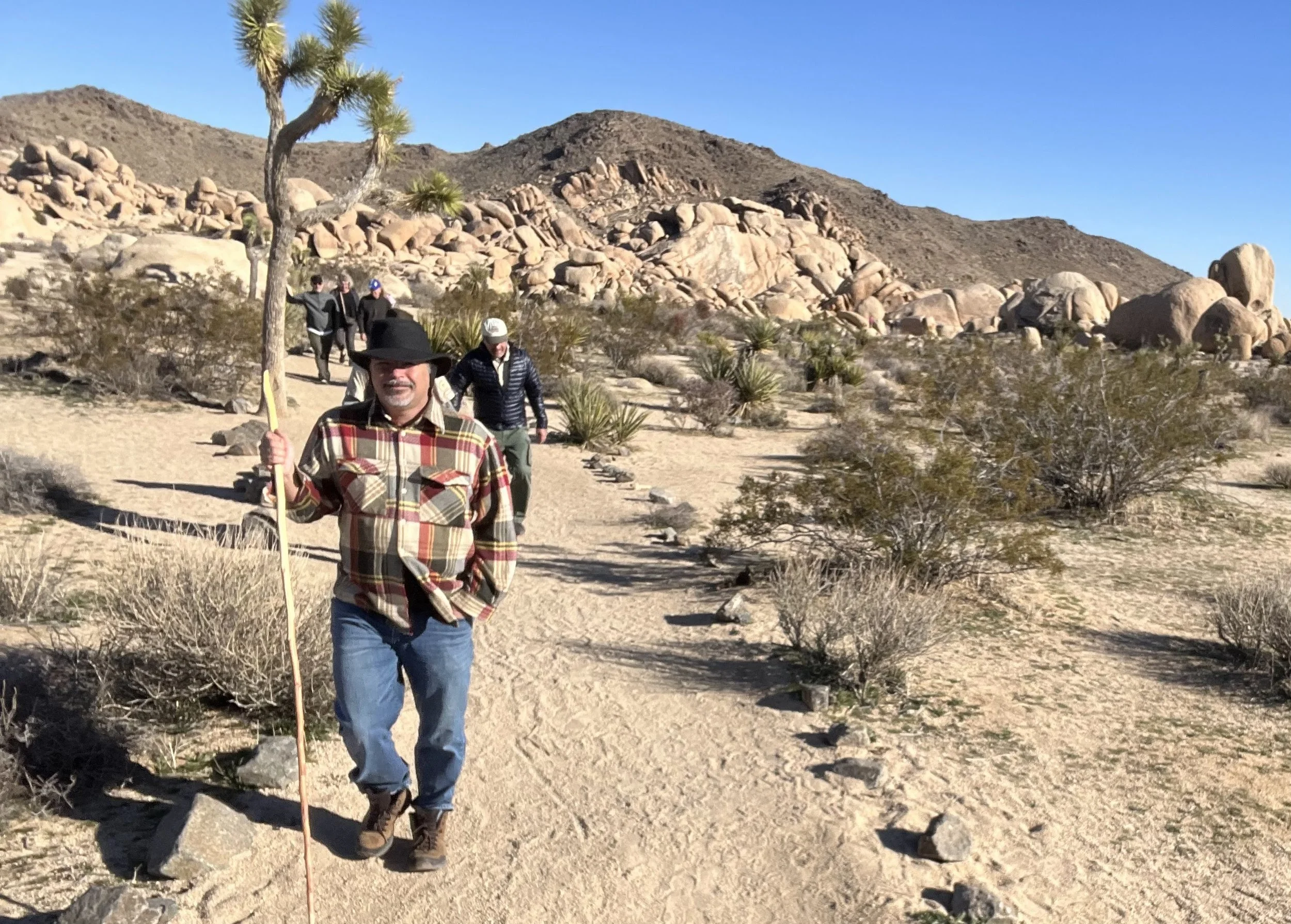 BG Joshua Tree 2.JPG