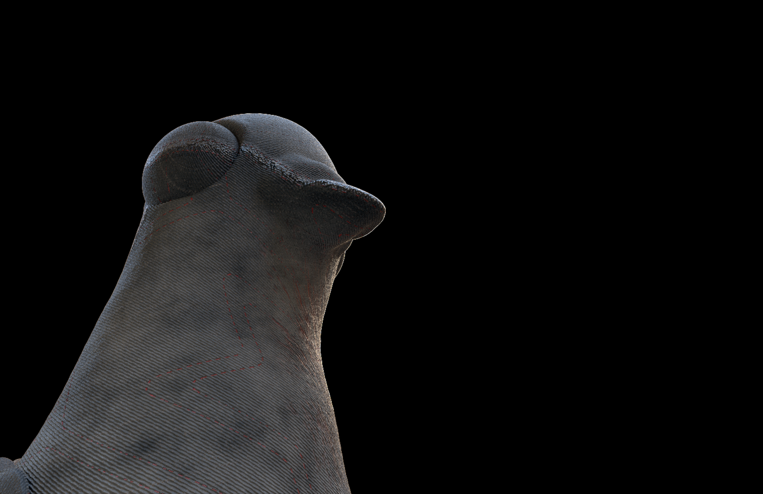 p10.png